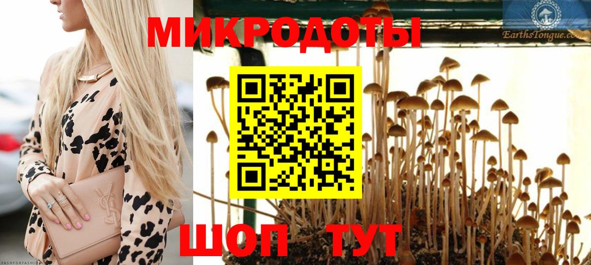 Псилоцибиновые грибы мицелий  Вход с VPN  Сочи 